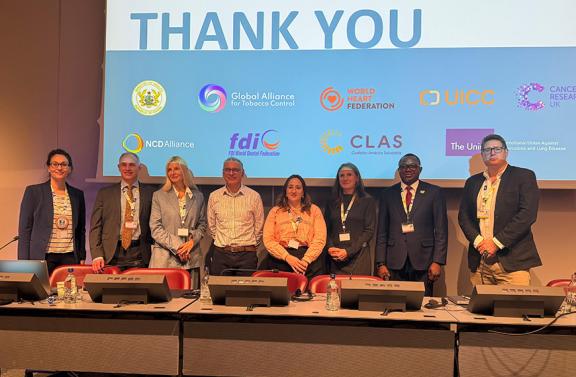 WHO FCTC COP11 group