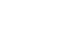 logo section dentists chiefs